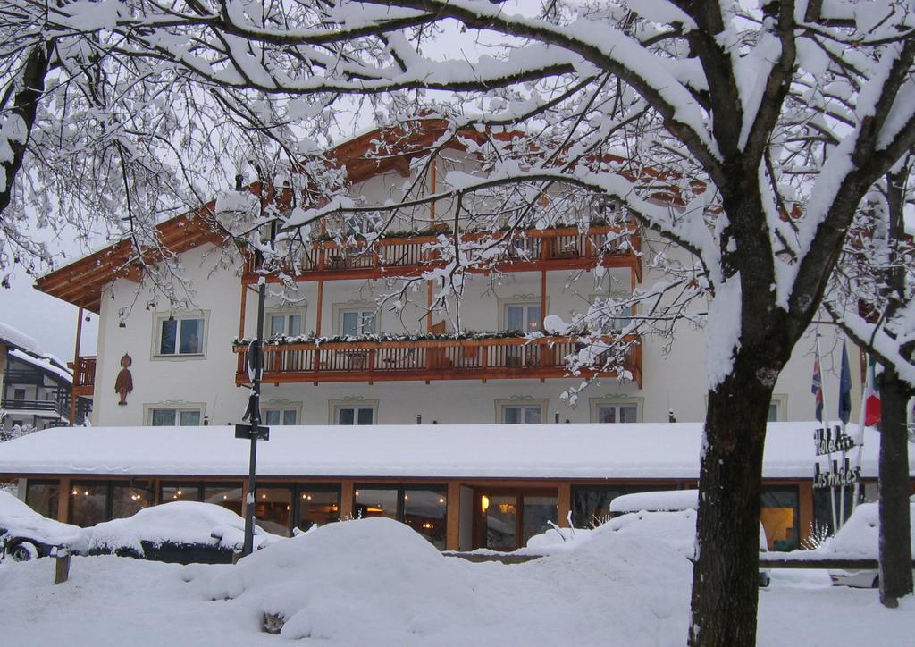 Hotel Los Andes Castello-Molina di Fiemme Exteriér fotografie